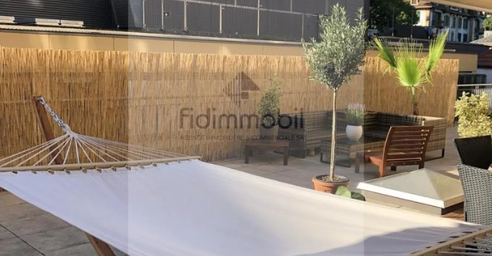 Magnifique appartement avec belle terrasse au centre ville