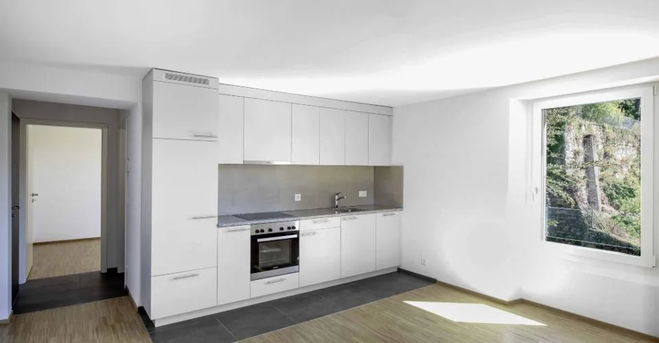 Appartements de 2 pièces à Neuchâtel, avec jardin commun et coin potager