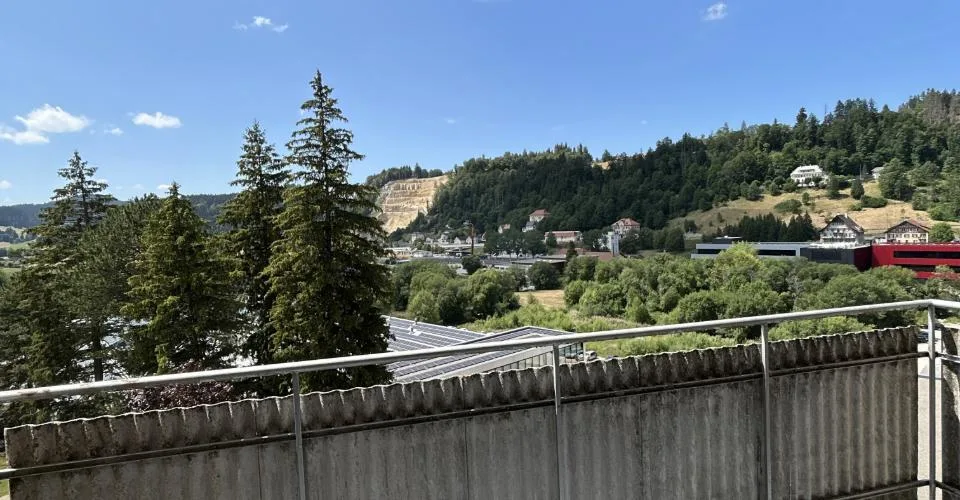 Charmant 2,5 pièces avec vue imprenable et 1er loyer net offert !