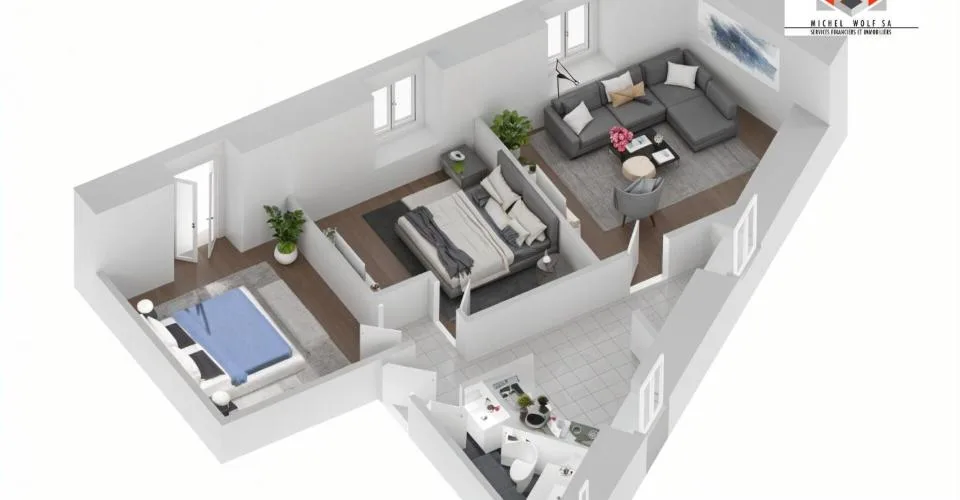 Appartement entièrement rénové avec colonne de lavage
