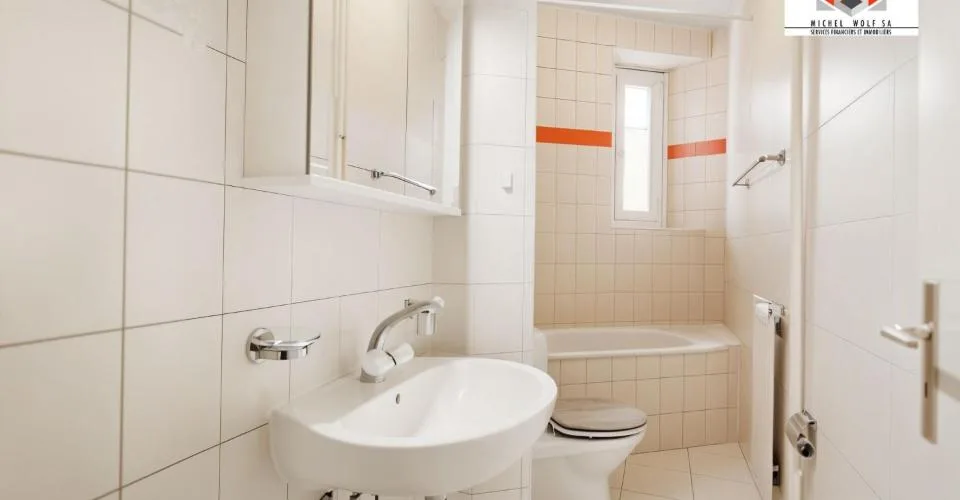 Appartement entièrement rénové avec colonne de lavage
