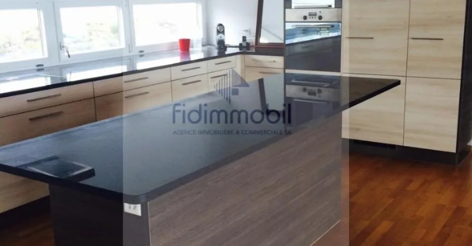 Magnifique logement avec vue imprenable sur le lac.