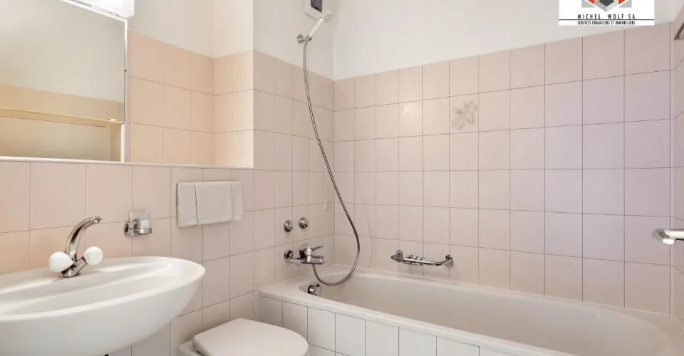 Appartements entièrement rénovés avec colonne de lavage