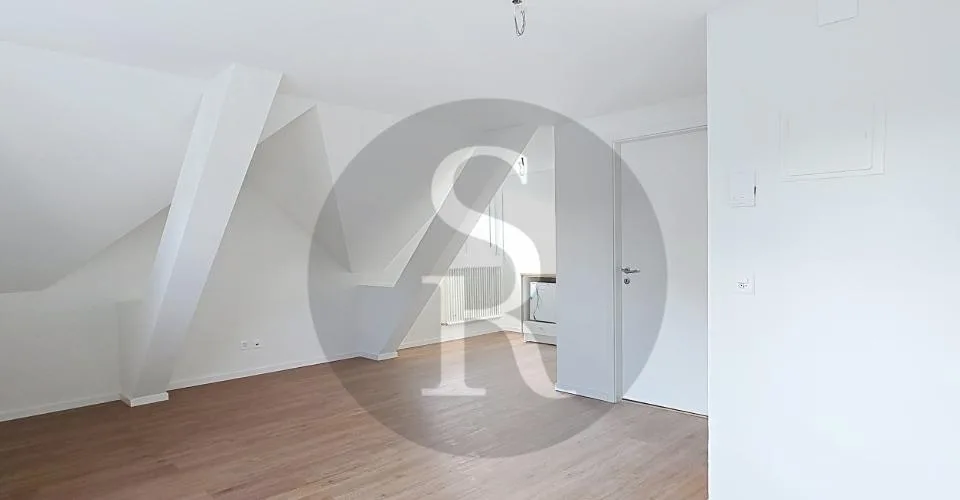Haute 29 à Colombier, studio rénové au centre du village