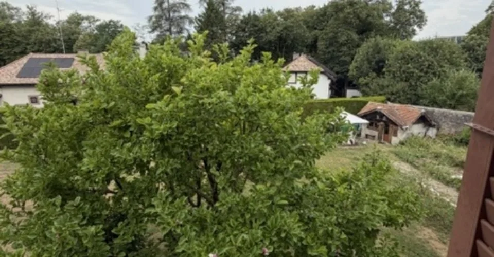 Magnifique duplex