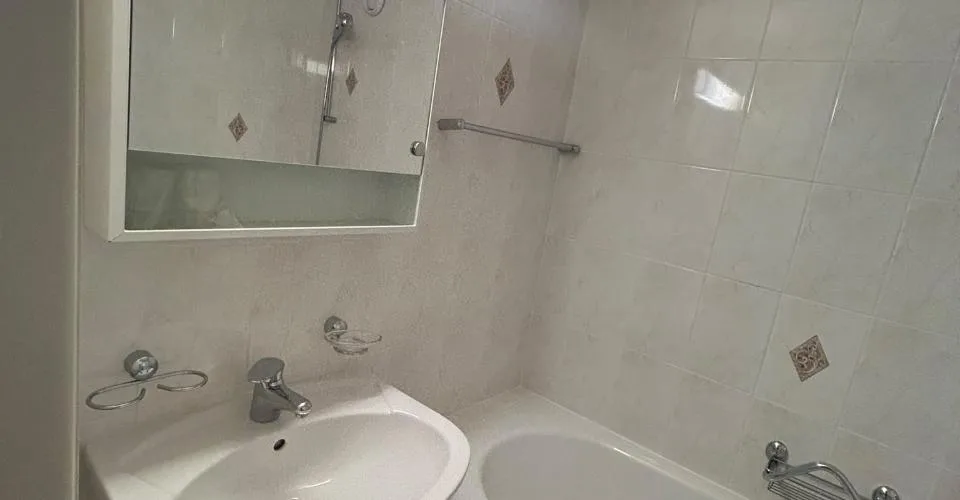 appartement 1.5 pièces