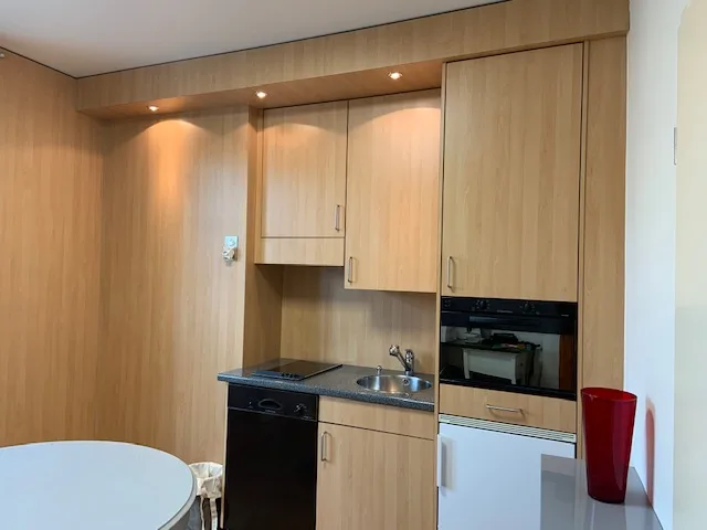 Bel appartement avec vue Rhône