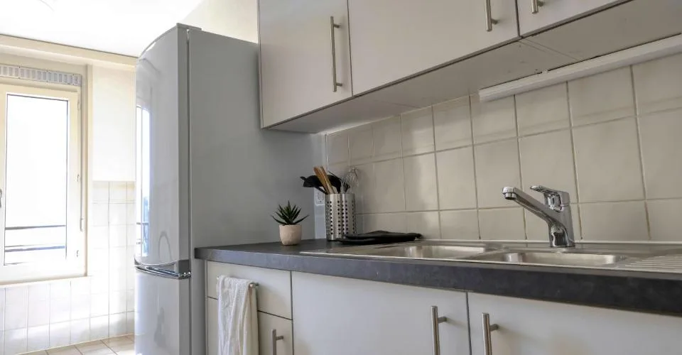 Confort et Communauté en Coliving au Cœur de Genève