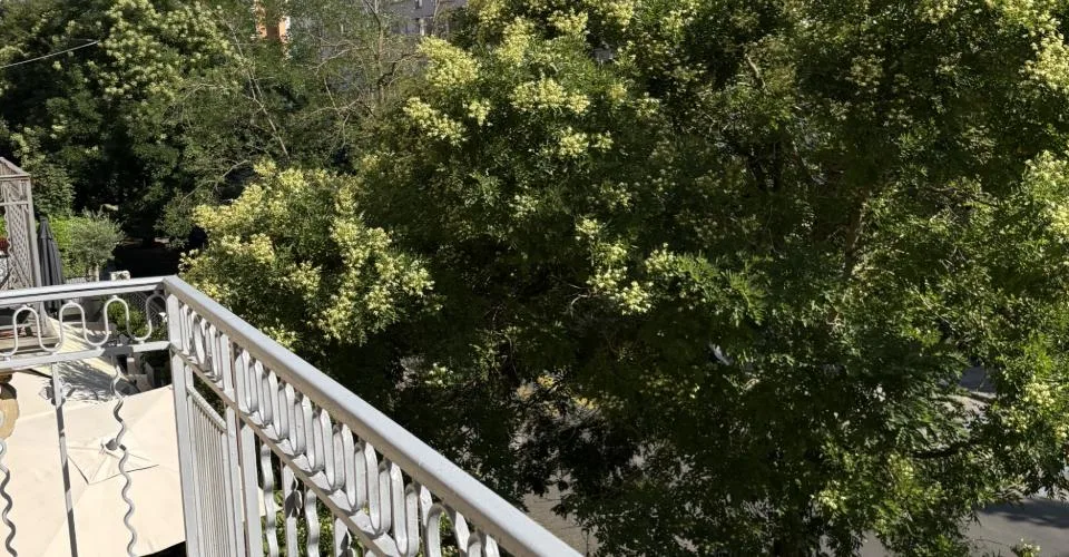 Splendide appartement proche du Parc Bertrand