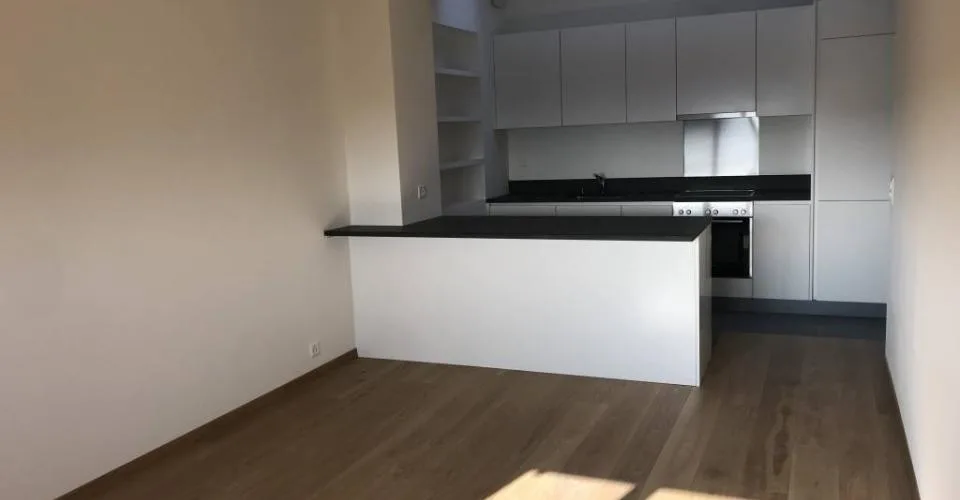 3.5 pièces au 5ème étage (combles)