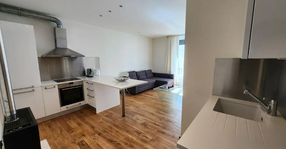 Charmant appartement meublé de 2 pièces à deux pas du lac
