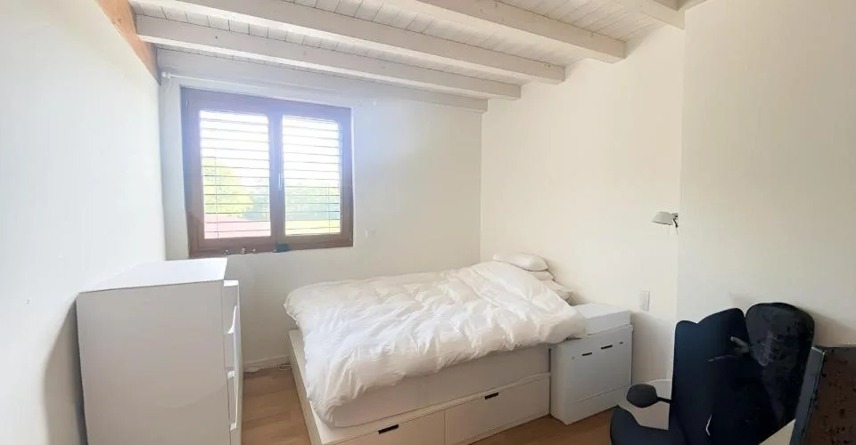 Charmant appartement de 6 pièces au dernier étage d'une ferme rénovée