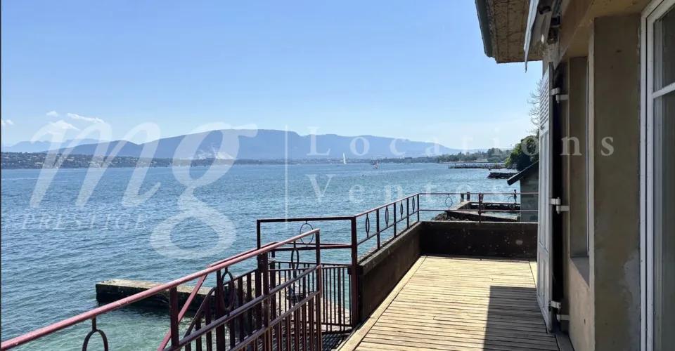 PIED DANS L'EAU !!!! TRES BELLE MAISON RENOVEE AVEC LARGE TERRASSE - VUE LAC, PONTON ET PLACE BATEAU