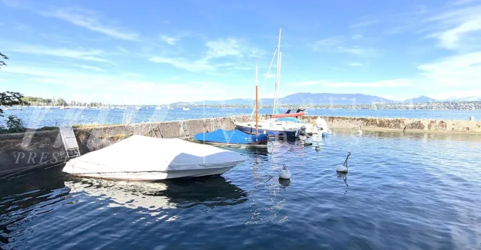 PIED DANS L'EAU !!!! TRES BELLE MAISON RENOVEE AVEC LARGE TERRASSE - VUE LAC, PONTON ET PLACE BATEAU