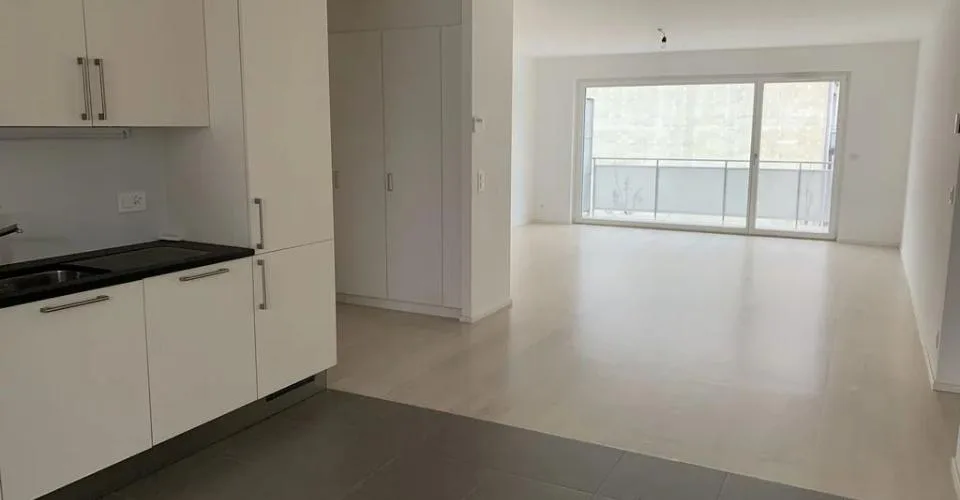 Bel appartement dans un immeuble de prestige au centre du village de V