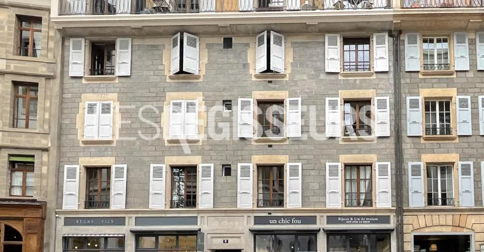 Appartement mansardé neuf en vieille-ville.