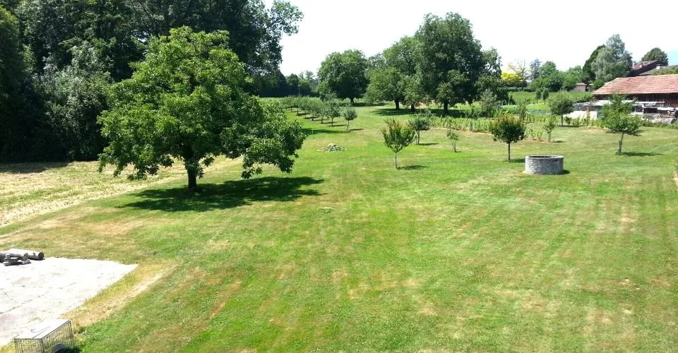 Magnifique appartement traversant de 6 pièces à Cartigny.