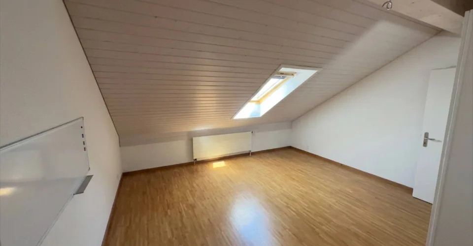 Vaste appartement de 7 pièces à Bernex