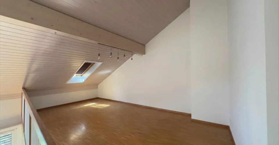 Vaste appartement de 7 pièces à Bernex