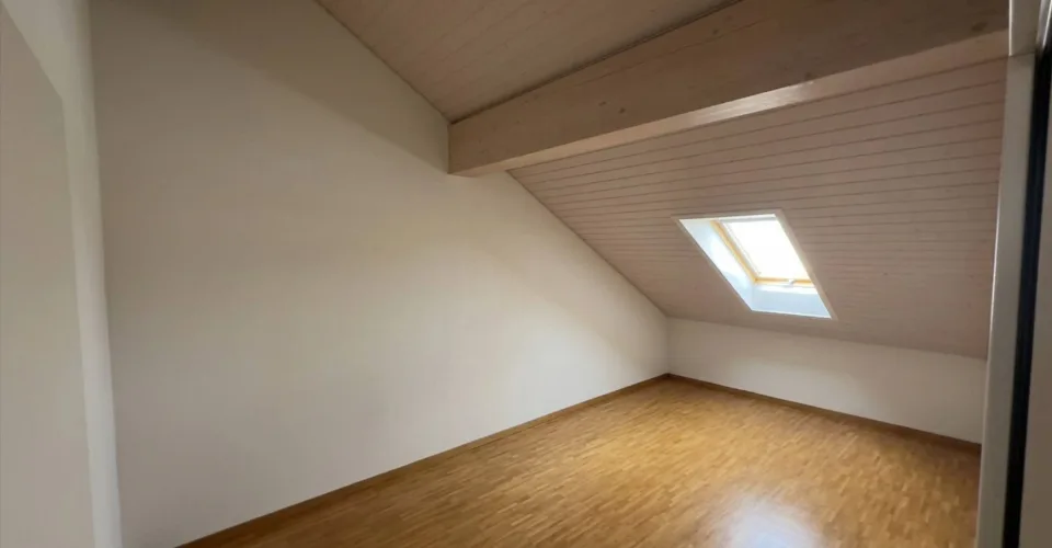Vaste appartement de 7 pièces à Bernex