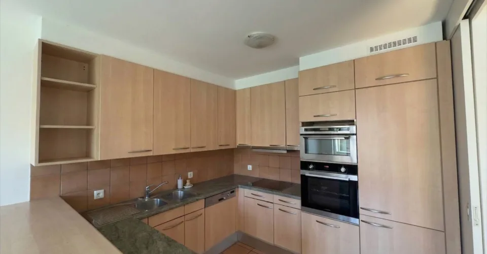 Vaste appartement de 7 pièces à Bernex