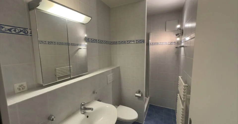 Vaste appartement de 7 pièces à Bernex