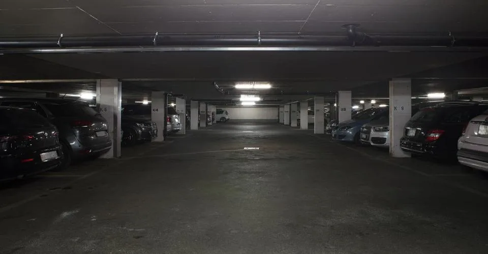 THONEX - Rue de Genève 109 - 118m2