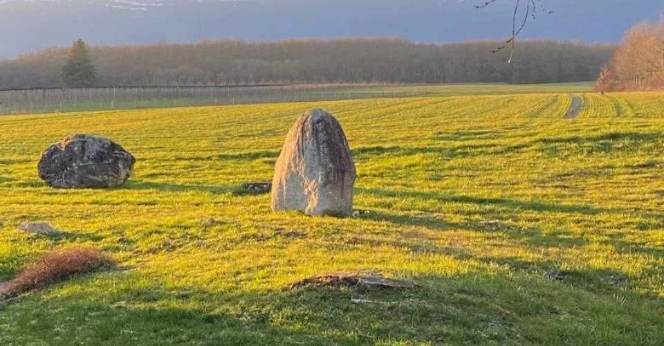 Villa de plain-pied avec vue dégagée sur la commune de Collex-Bossy.