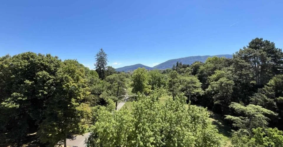 Magnifique appartement avec vue sur le Parc Bertrand