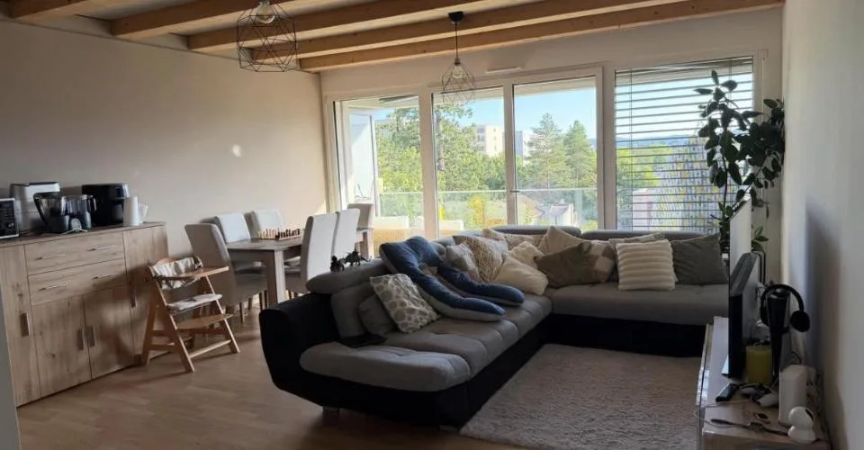 Appartement 3,5 pièces récent à Meyrin