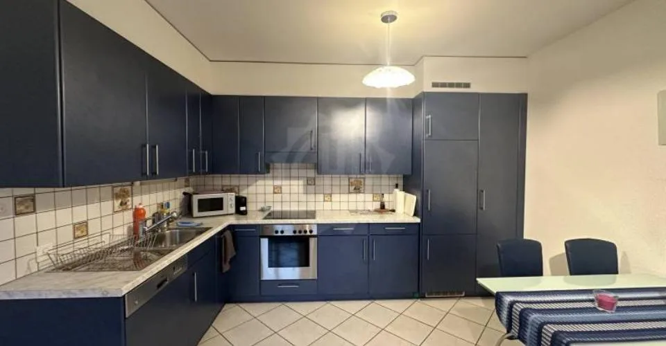 Appartement agréable - Plan-les-Ouates