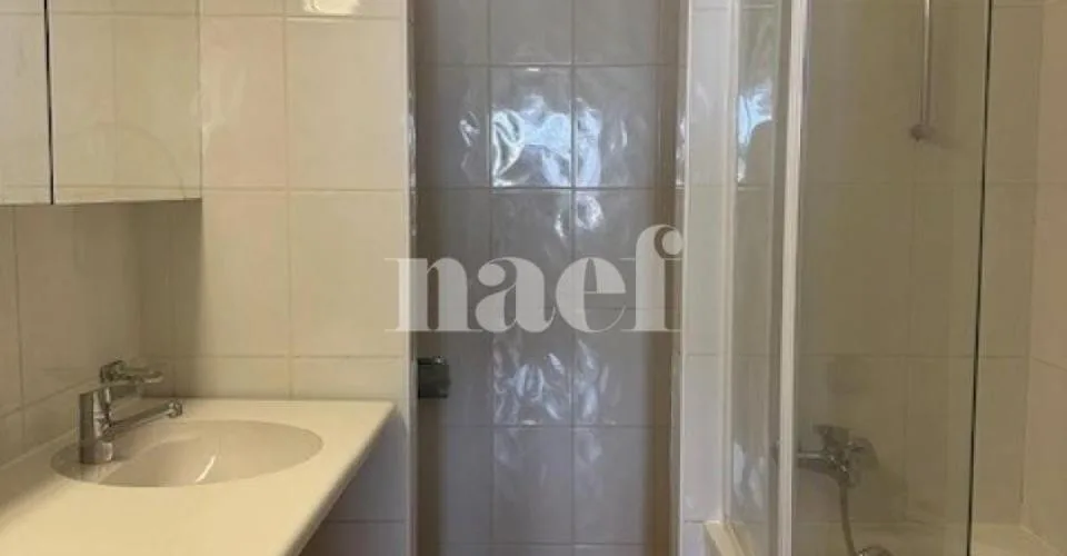 Appartement de 7 pièces au Seujet