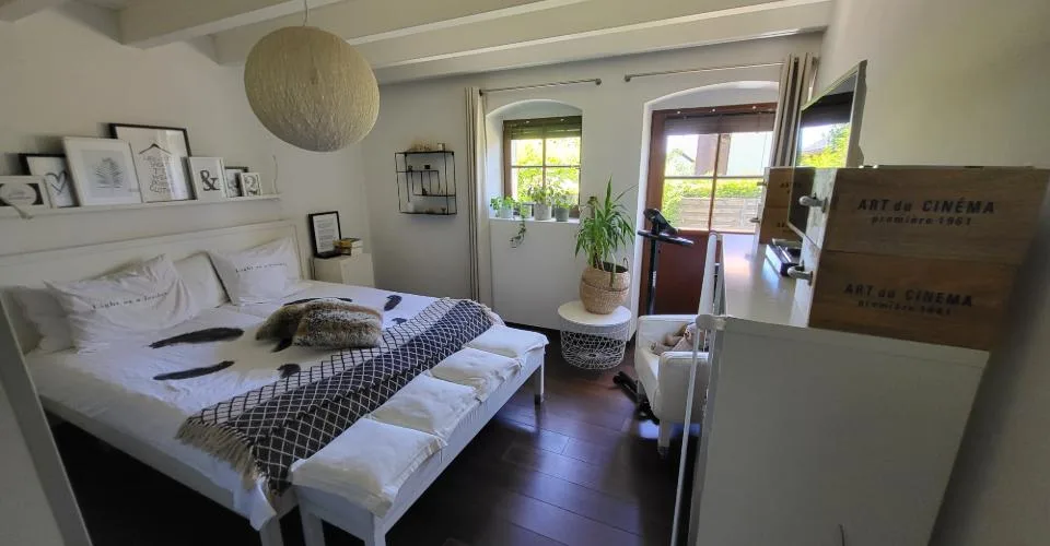 DUPLEX EN REZ-DE-JARDIN DE 7 PIECES
