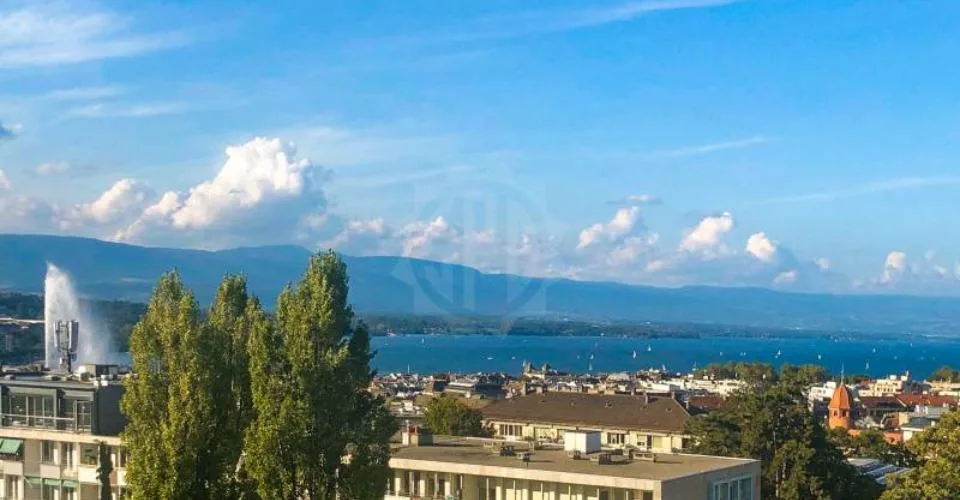 Magnifique appartement - Genève – foto 10 di 10