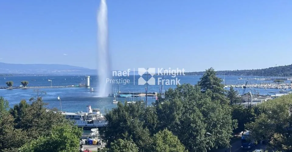 Appartement de charme - entièrement rénové - dans l'hypercentre avec vue jet d'eau