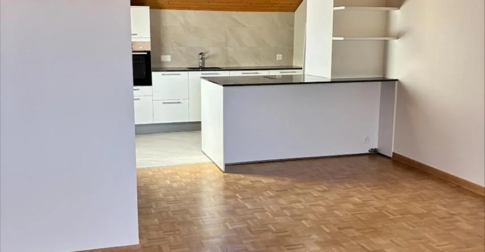 Appartement mansardé et rénové avec 3 chambres – Rue de Tronchin 26