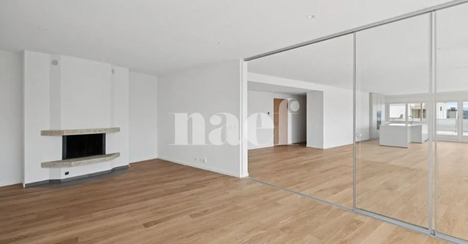 Appartement de 170m2 au bord du Rhône
