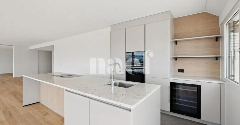 Appartement de 170m2 au bord du Rhône