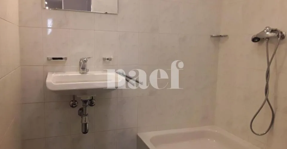 Appartement 4 pièces à Plainpalais