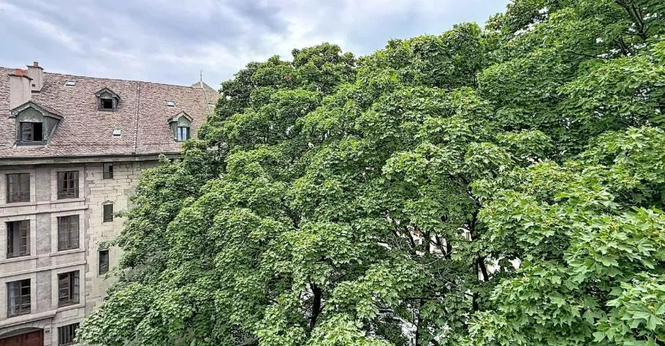 Appartement de 5,5 pièces à la Vieille-Ville