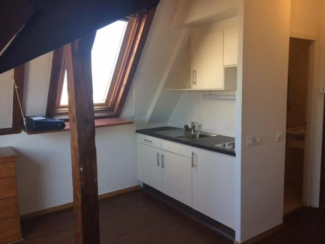 Bel appartement dans le quartier des Eaux-Vives avec vue