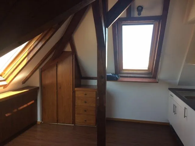 Bel appartement dans le quartier des Eaux-Vives avec vue