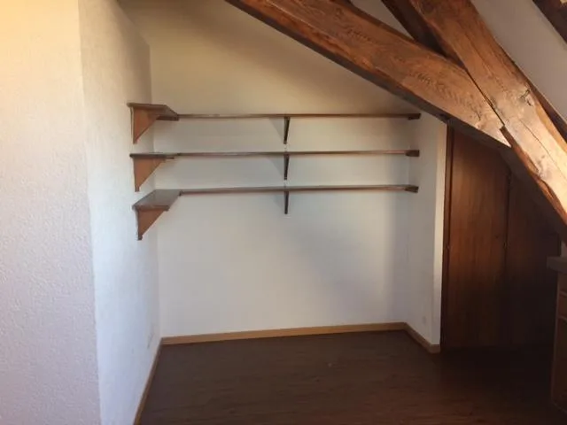 Bel appartement dans le quartier des Eaux-Vives avec vue