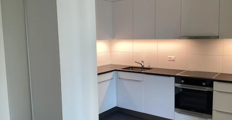 Très bel appartement situé dans le haut des Pâquis, entièrement
