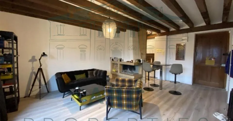 EAUX-VIVES - APPARTEMENT ENTIÈREMENT RÉNOVÉ