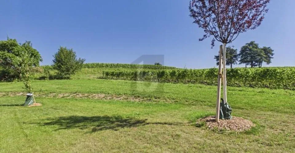 RÉNOVÉE AVEC JARDIN, AU CALME DANS LE VIGNOBLE