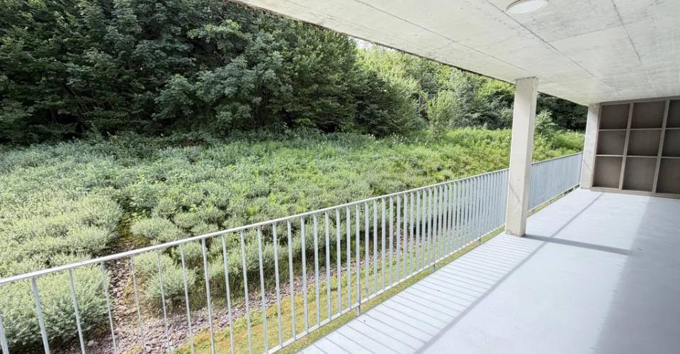 Une grande terrasse avec vue sur la nature - Charges forfaitaires