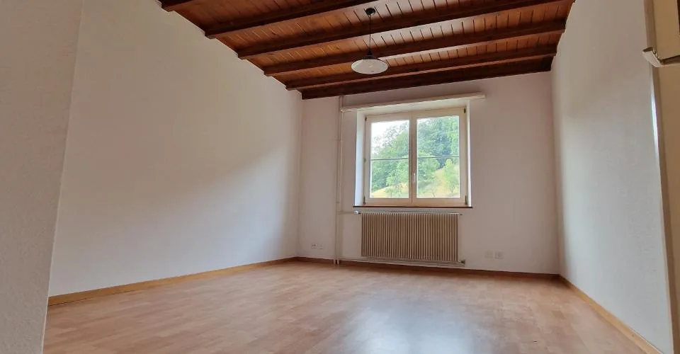 Appartement de 4 pièces au Rez à la Baroche (Douane)