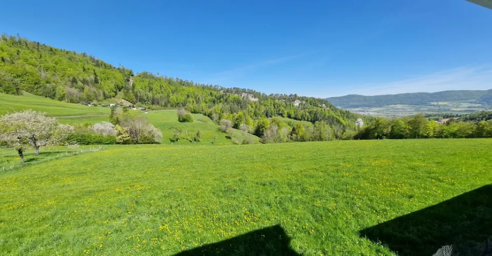 Une vue sur la campagne pour une vie paisible