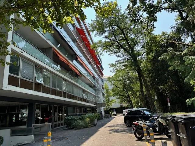Place de parking dans le quartier de Malagnou